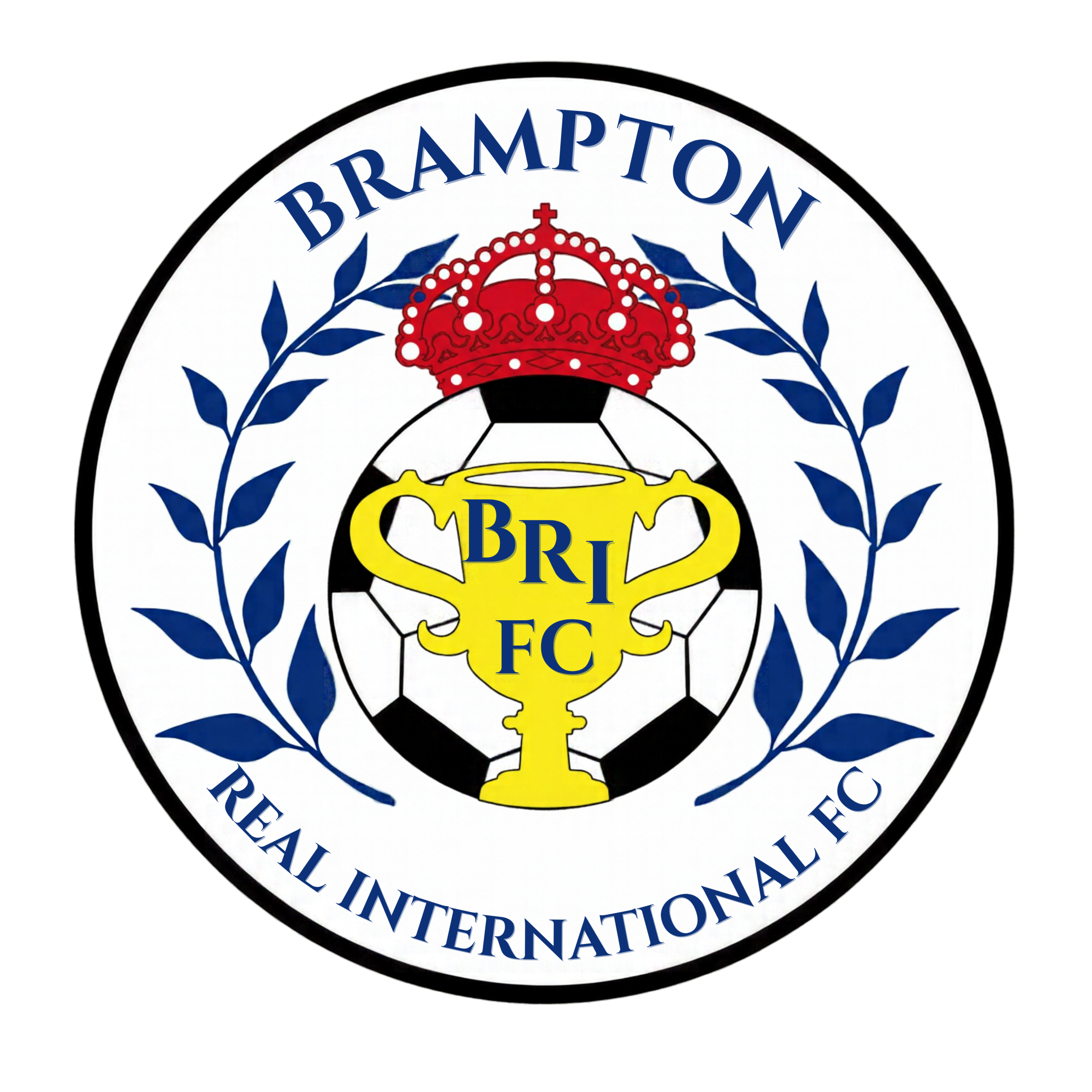 BRIFC